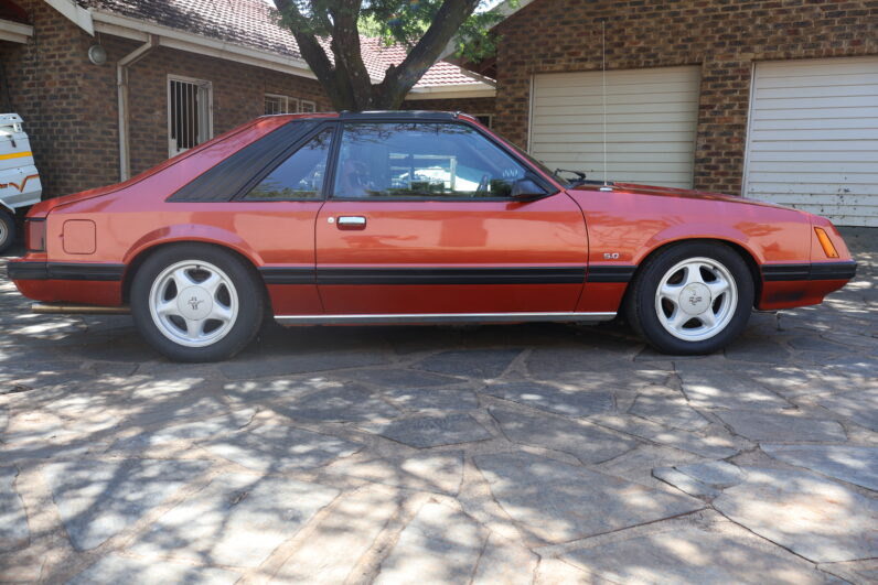 1981 Ford Mustang 5.0
