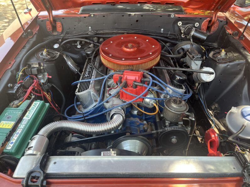 1981 Ford Mustang 5.0