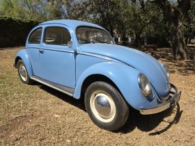 1956 Volkswagen Oval Beetle