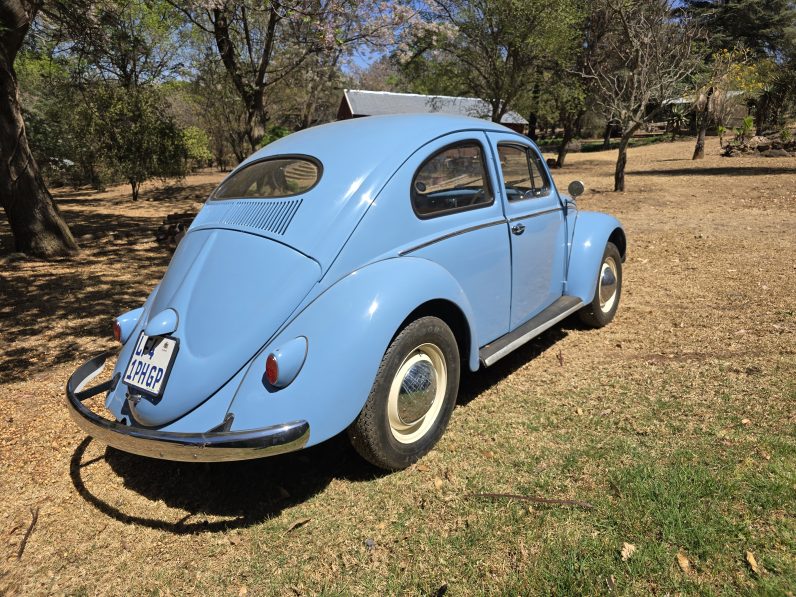 1956 Volkswagen Oval Beetle